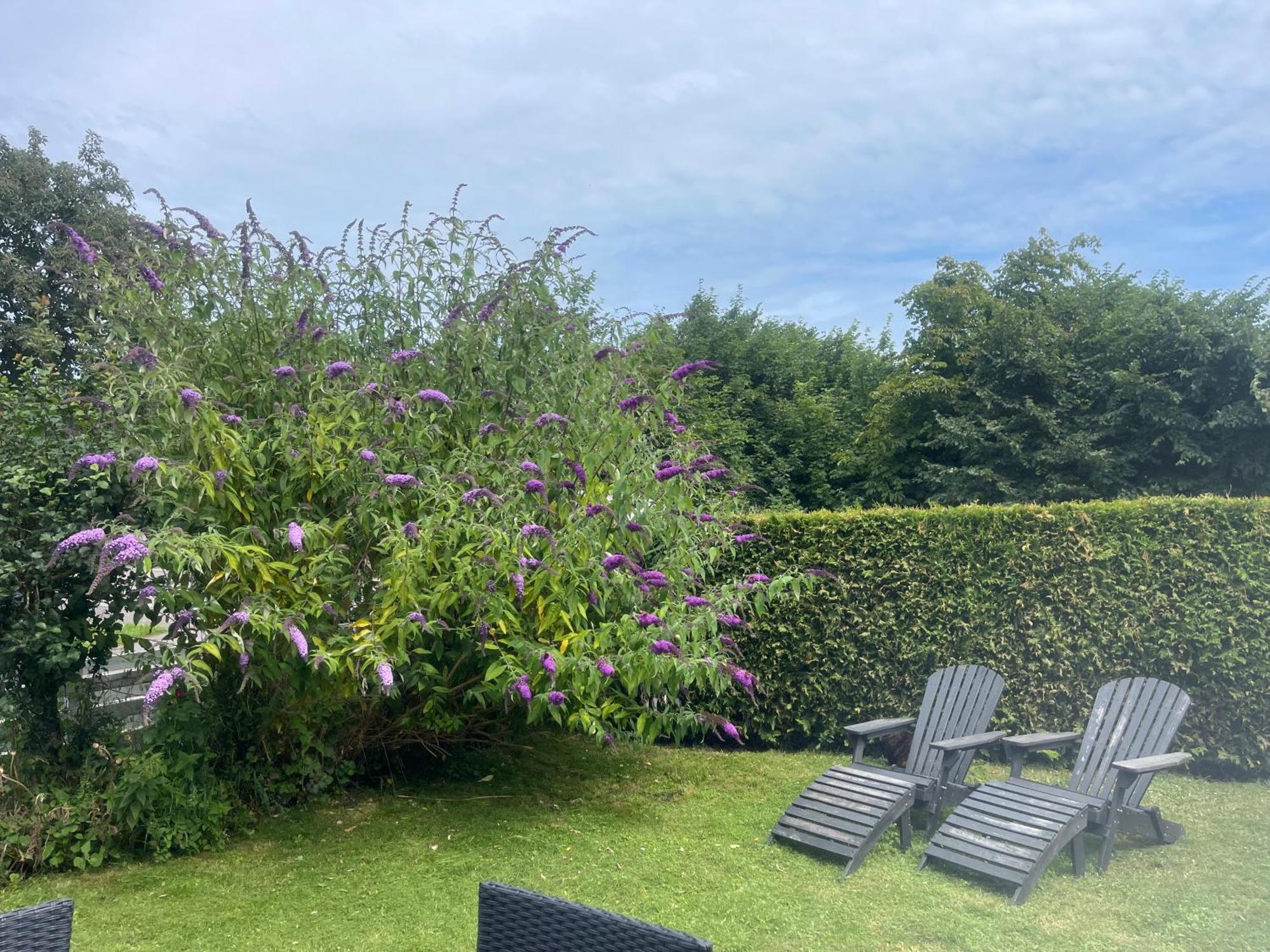 Heidis Residence-Sandkaas, Bornholm アリンエ エクステリア 写真